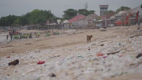 beach cleanup in indonesia