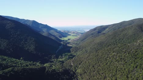 Flying-forwards-through-a-valley-at-the-start-of-the-Remutaka-cycle-trail,-Wairarapa,-New-Zealand