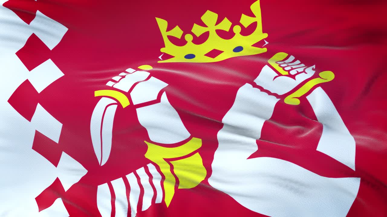 North Karelia (Region of Finland) flag waving in the wind with highly detailed fabric texture. Seamless loop