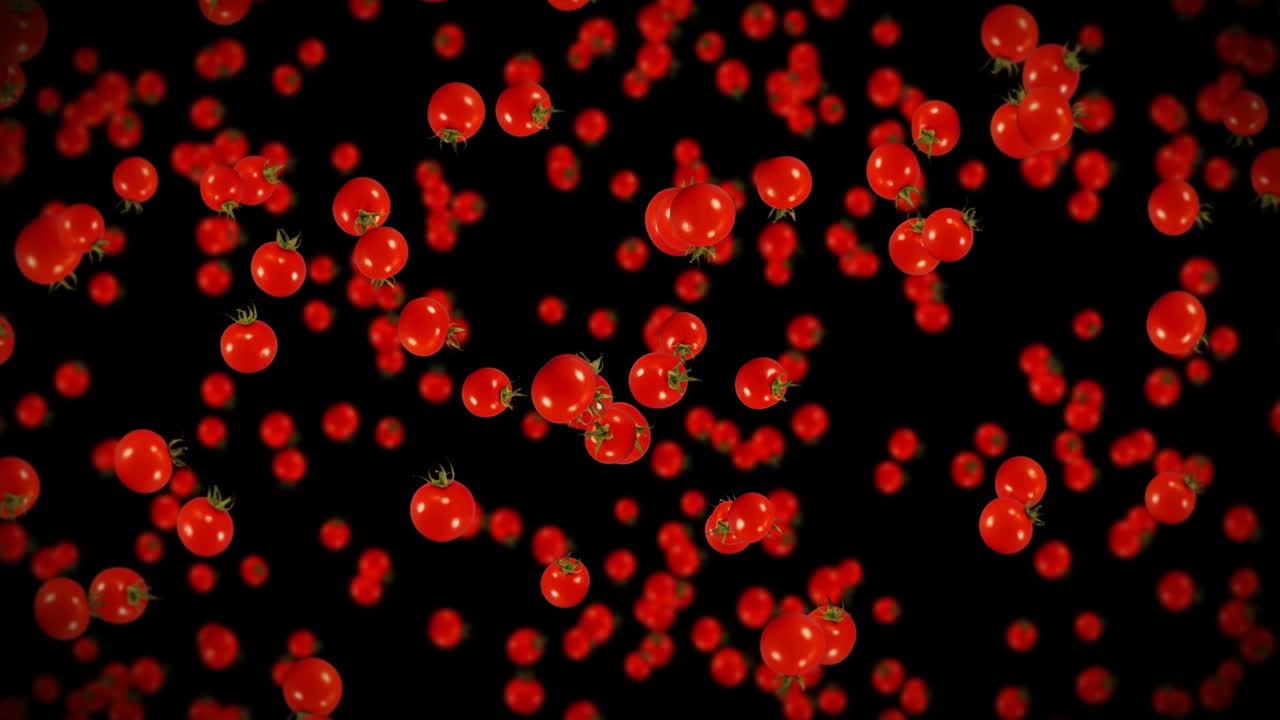 검은색 바탕에 많은 신선한 토마토를 날아. 유기 채소. 익은 맛있는 체리 토마토. 토마토 회전의 3d 루프 애니메이션.