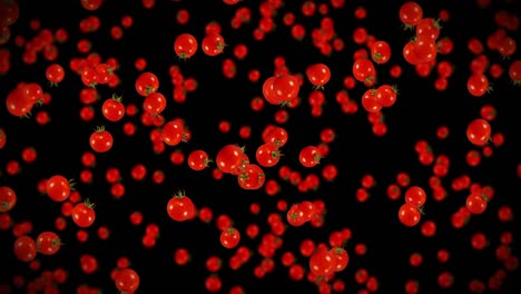 volando muchos tomates frescos en fondo negro. verduras orgánicas. tomates de cereza maduros y jugosos. animación de bucle 3d de tomate girando.