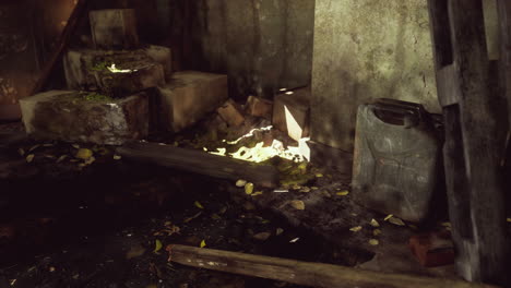 ruined abandoned overgrown by plants interior