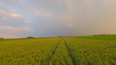 Vastos-Campos-Verdes-Y-Fértiles-En-El-Deslumbrante-Paisaje-Llano-Que-Llena-Los-Ojos-Con-Su-Belleza