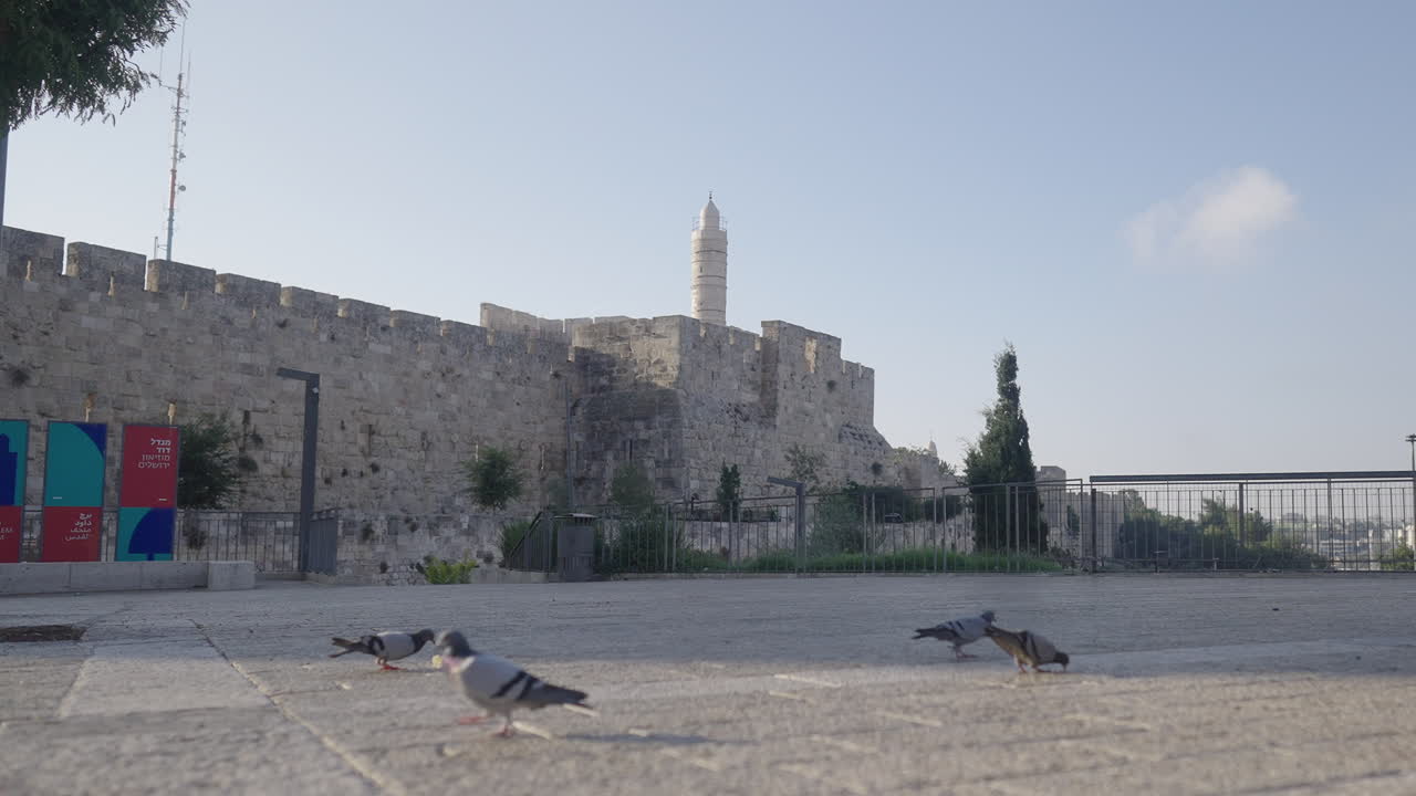 Majestic Tower of David, Jerusalem, Bathed in the Golden Light of a Setting Sun with pigeons flying in front ground dolly in