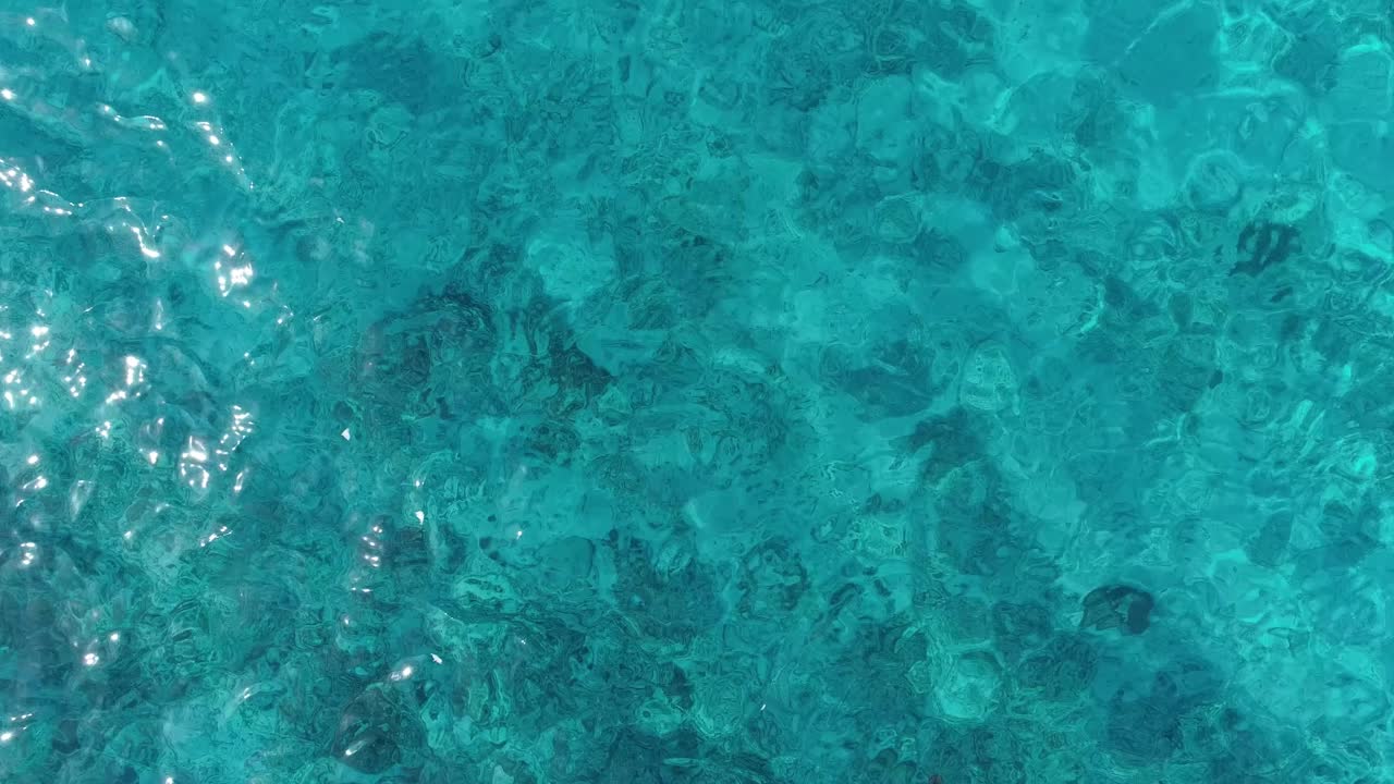 seaturtle nadando fuera del marco drone disparado desde arriba en agua clara del océano