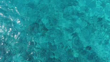 Seaturtle-swimming-out-of-frame-drone-shot-from-above-in-clear-ocean-water