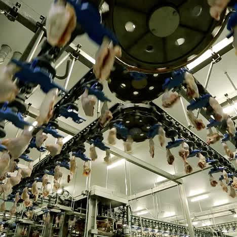 chicken processing facility