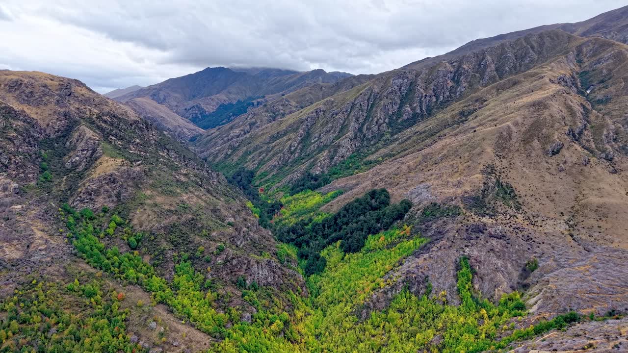 Drone moves forward to reveal Arrowtown Valley with lush greens, golden yellows, and autumn tones beneath a cloudy New Zealand sky