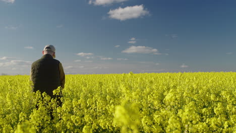 landwirt auf einem rapsfeld