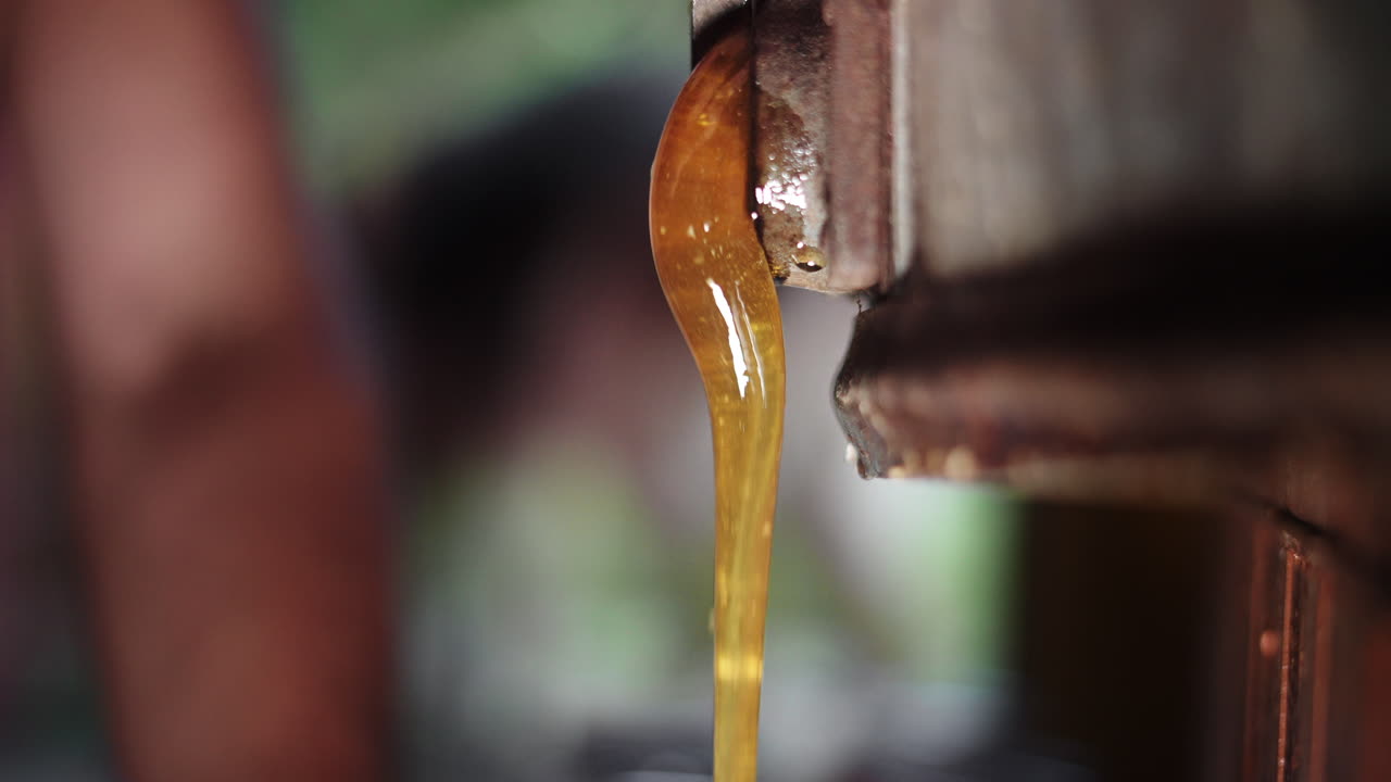 Vista ravvicinata di miele d'api liquido dorato appena estratto che scorre dal serbatoio dell'estrattore, apicoltura tradizionale e raccolta di miele puro in un apiario, splendido sfondo sfocato