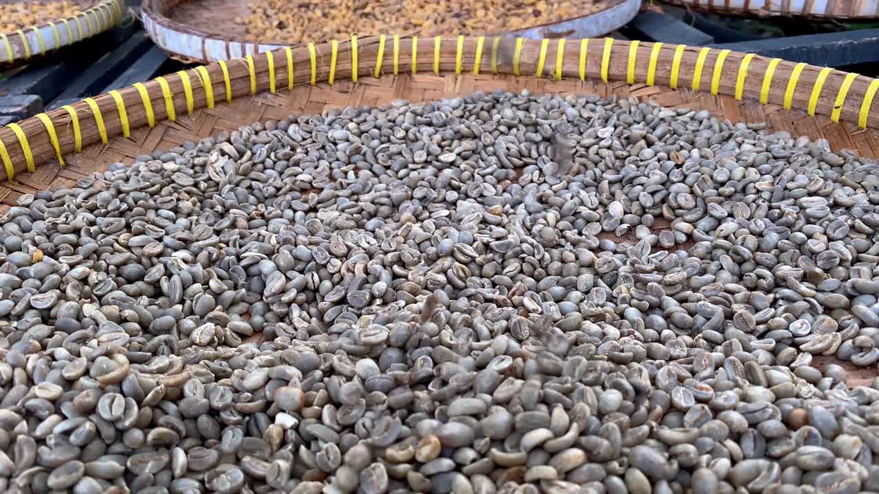 ⁇ 은 루와크 커피 콩 을  ⁇ 은 바구니 에 넣는 것