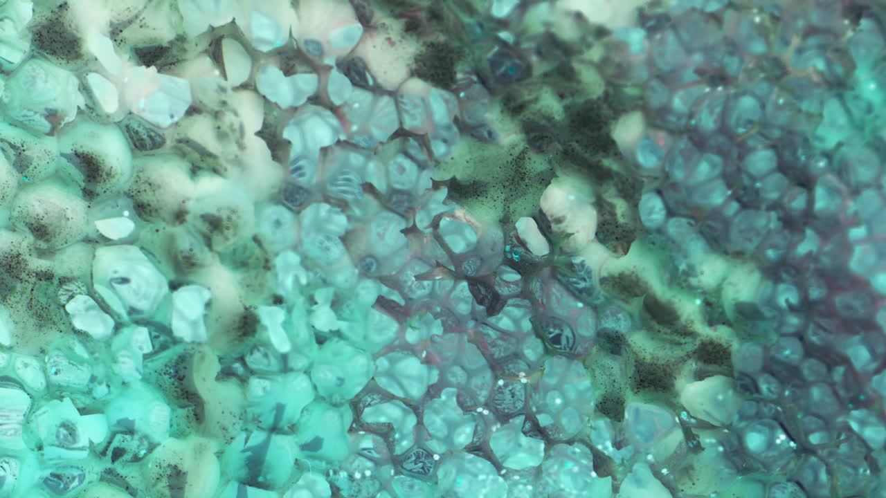 Abstract Turquoise Resin Texture