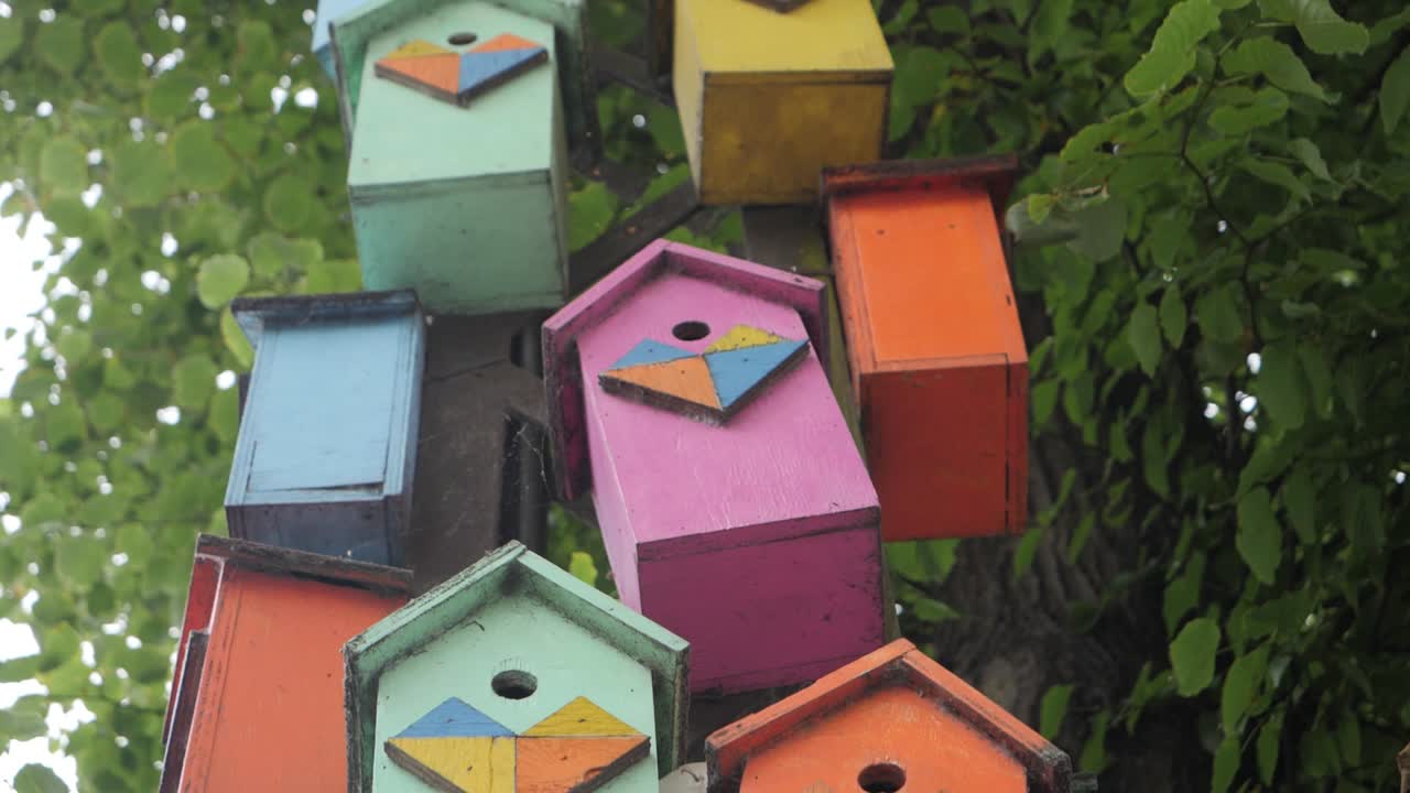 Casa de passarinho colorida em poste, em câmera lenta