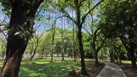 strolling along a shaded tropical garden path. tall trees provide a lush canopy. the weather is bright and hot.
