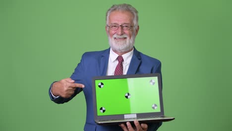 handsome senior bearded businessman against green background