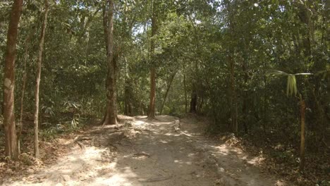 Maya-Ruinen-In-Tikal-In-Guatemala