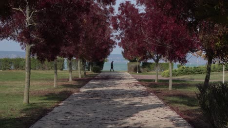 autumn at lake balaton in hungary, europe