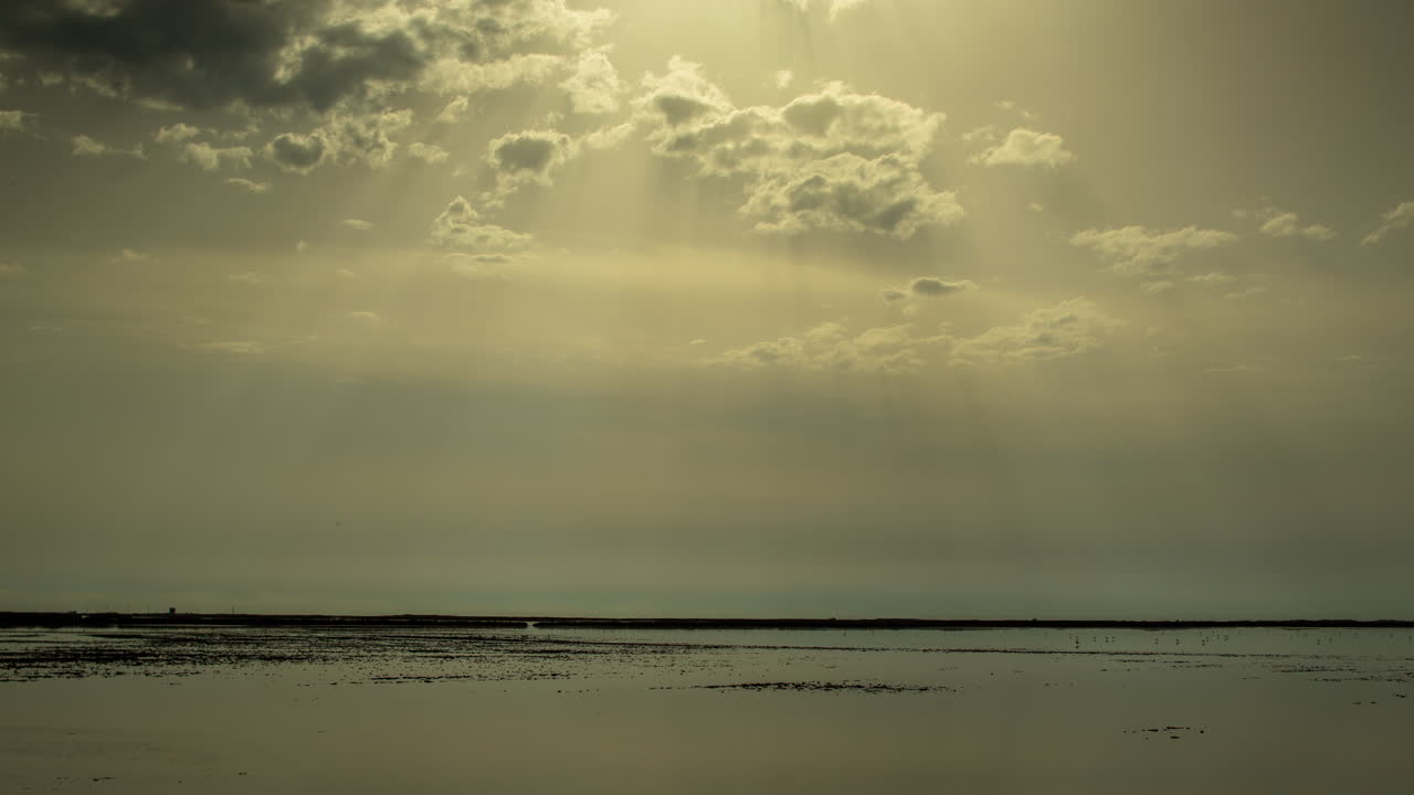 carmaargue 선레이 4k 00