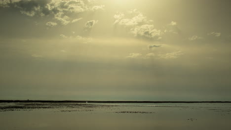carmaargue rayos de sol 4k 00