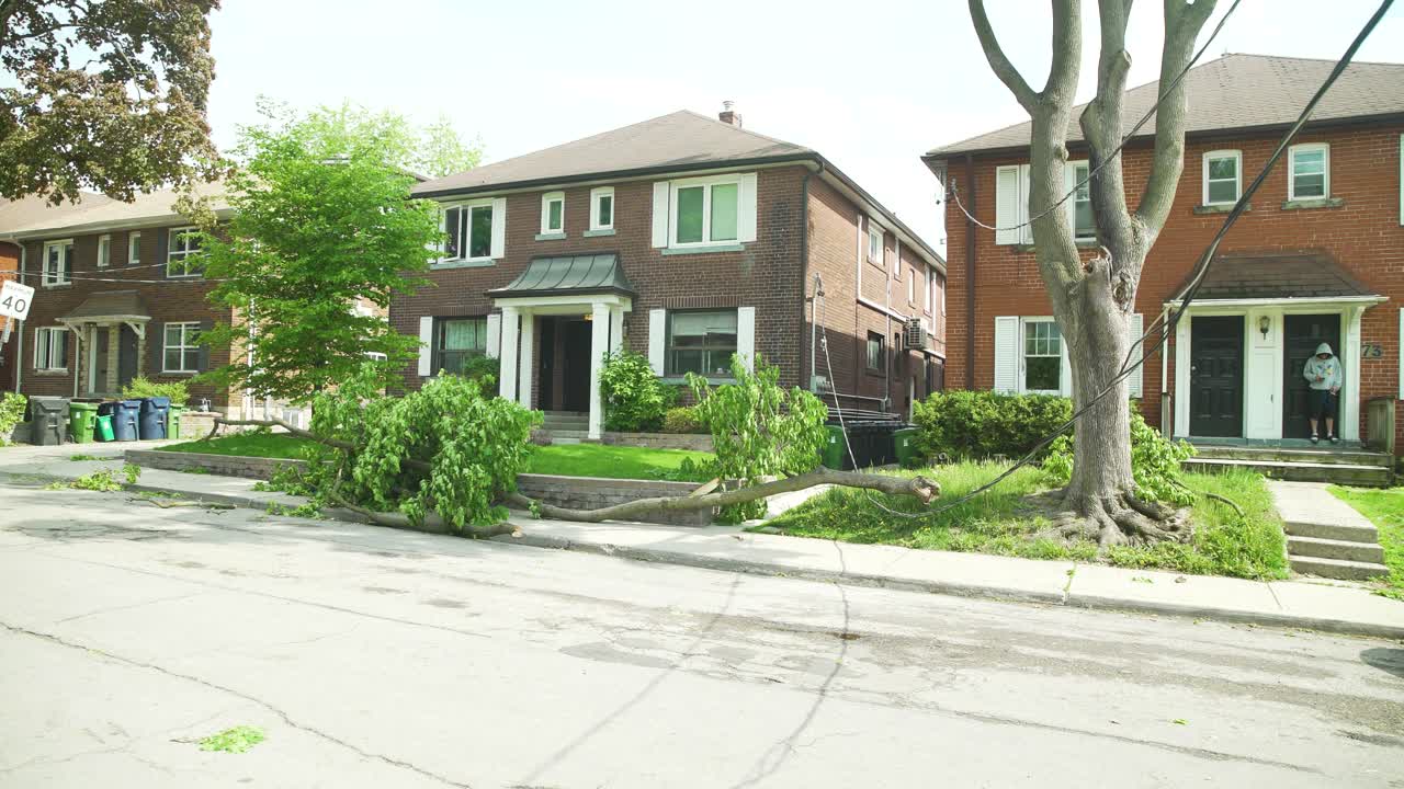 en el disparo de una gran rama que cayó del árbol de arriba, golpeando la línea de energía en el camino hacia abajo cortando la energía a cientos de personas localmente