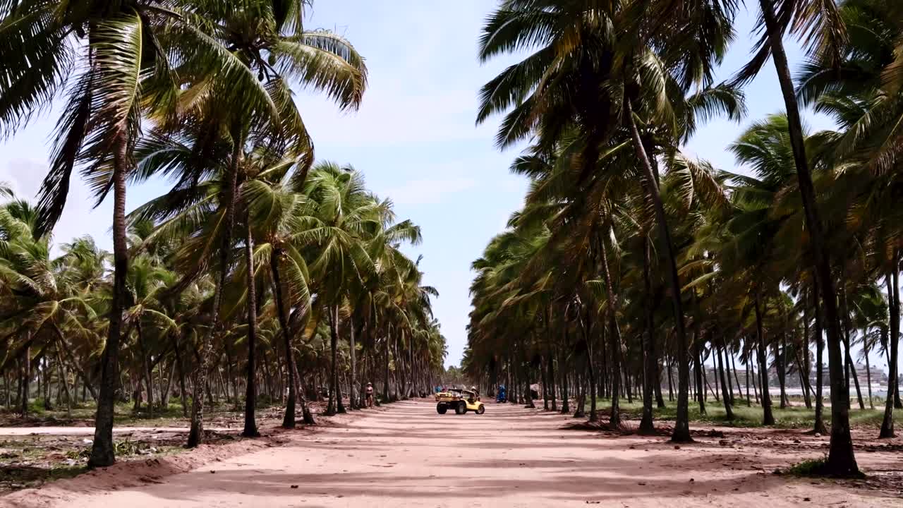 Slow motion shot of a yellow buggy parked in a coconut grove, Porto de Galinhas, Brazil