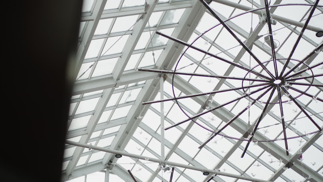 round view of steel chandelier installation with dangling crystal birds under glass skylight beams in modern mall atrium illuminated by natural daylight and structural grid pattern visuals