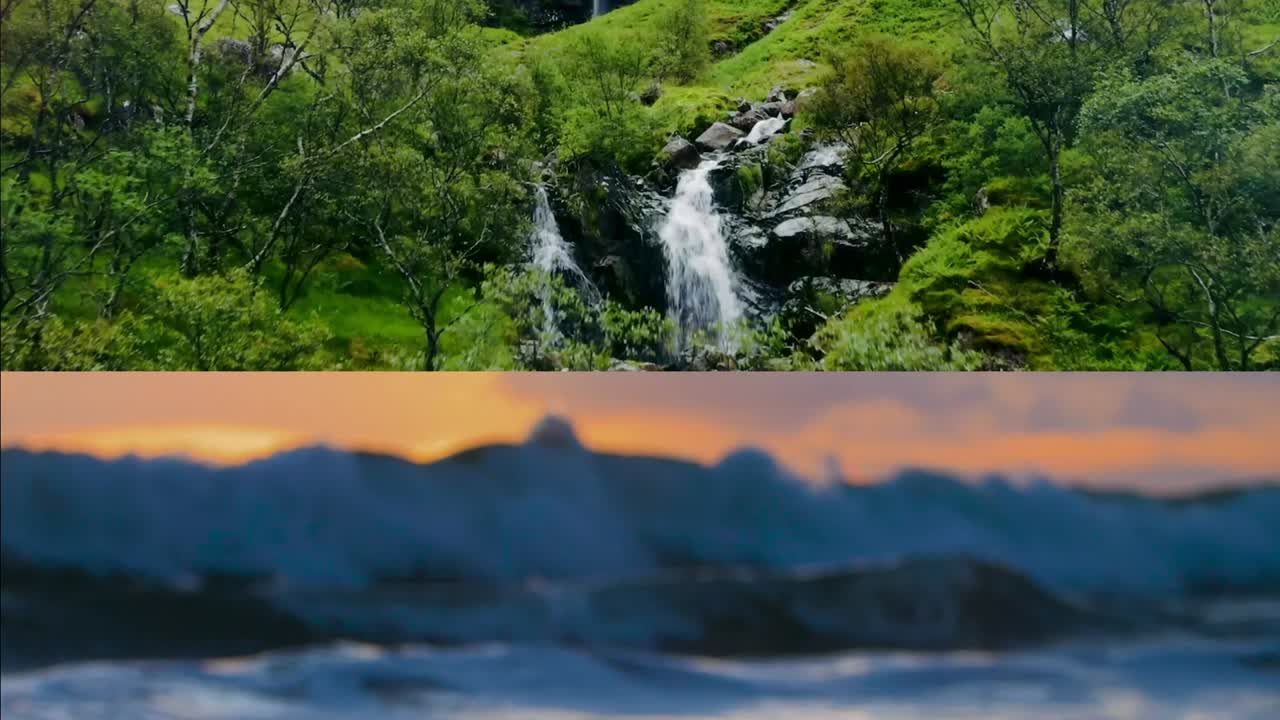 Fast-paced Nature Shots