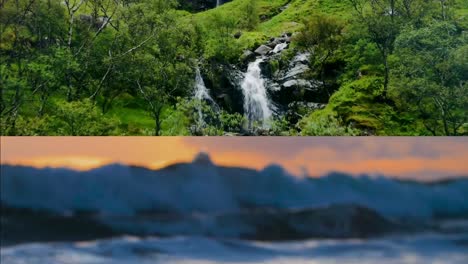 fast-paced nature shots
