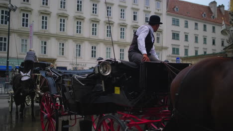 horse-drawn carriage tour in vienna