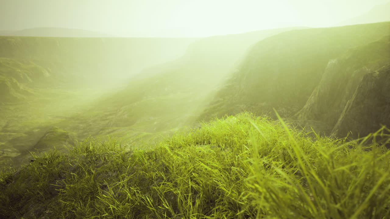 Scenic view of misty hills with vibrant green grass under soft light