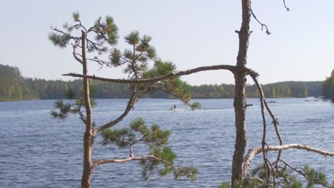 man on a aqua bike ridding in a national park with pine tree in foreground