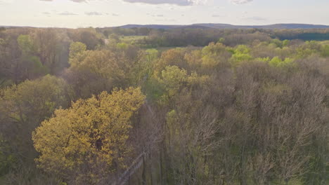 aerial drone view of a country road in dense forest near lake sequoyah in arkansas, usa