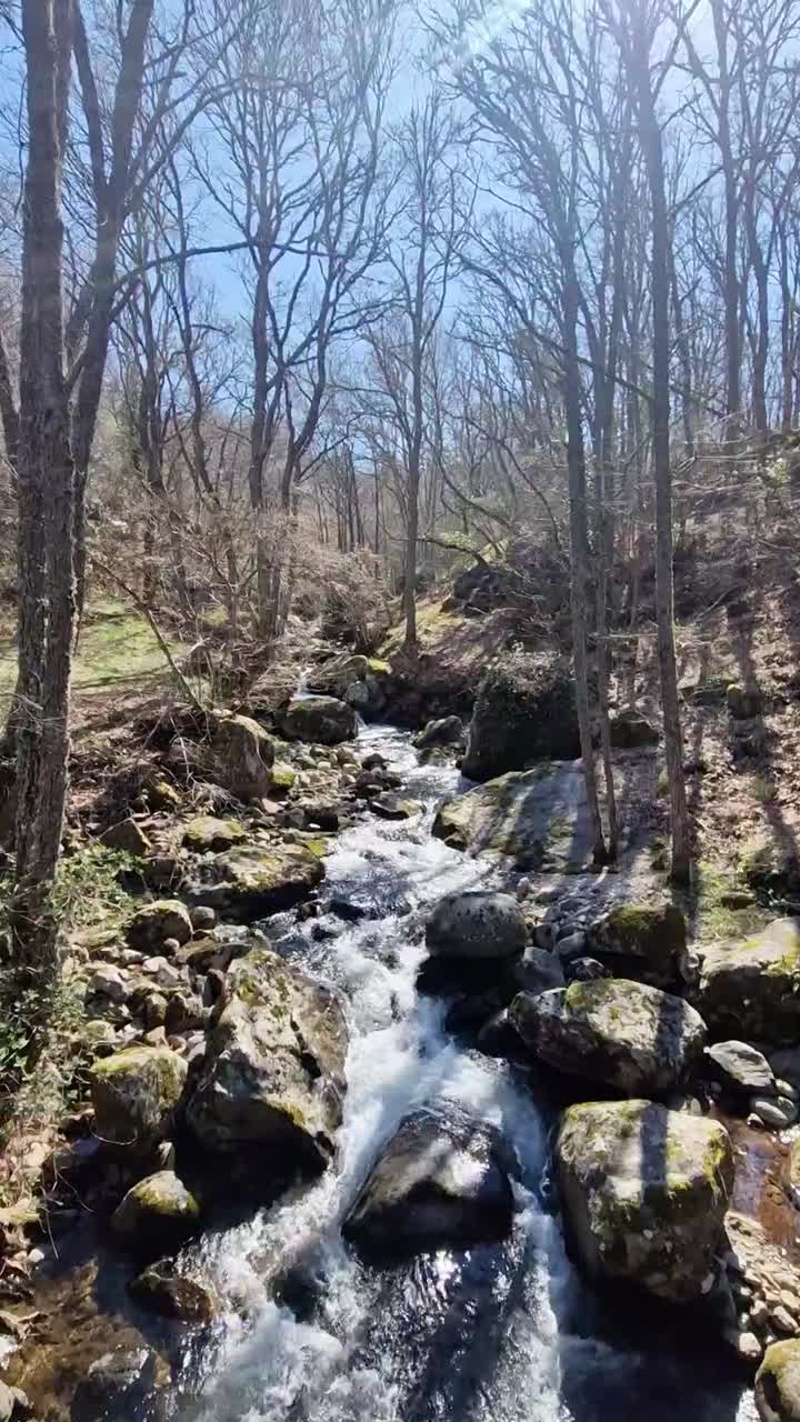 Clear water running over mossy rocks in a beautiful wild creek during early spring