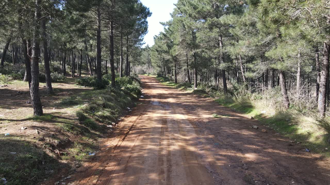 푸른 숲이 있는 조감도 도로