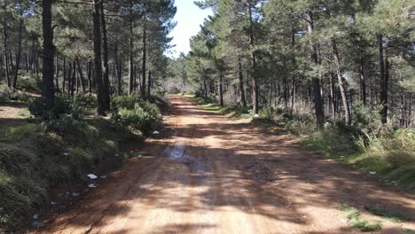 Aerial-View-Road-With-Green-Forest