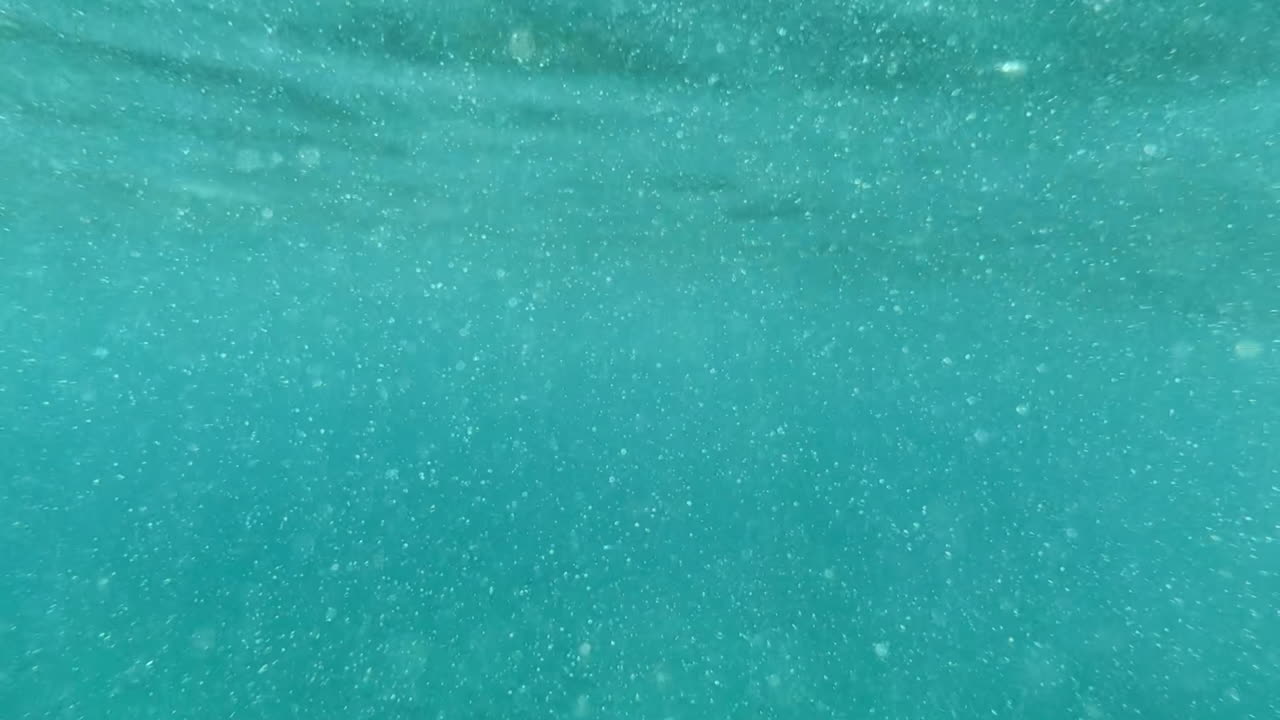 Underwater scene with bubbles