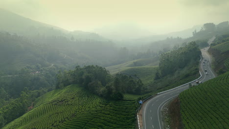 -Wunderschöne,-Neblige-Teeplantage,-Erstklassige-Teeplantagen-In-Den-Hügeln-Von-Munnar,-Kerala,-Indien