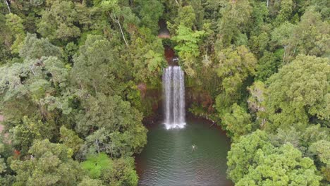 Toma-Aérea-De-Un-Nadador-En-Milla-Milla-Falls-En-El-Norte-De-Queensland,-Australia