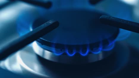 natural gas kitchen cooker turn on and recently used. blue and really hot flames on a gas stove. homemade cooking concept. circle gas hob burning ready to be use. natural gas inflammation, close up.