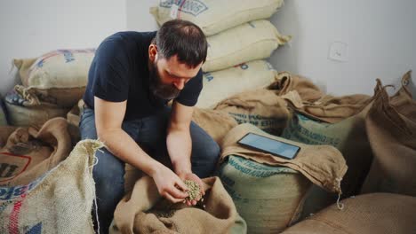 coffee farmer inspecting green beans