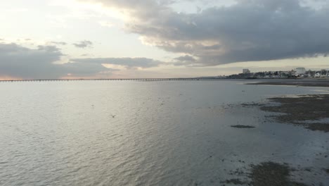 Múltiples-Pájaros-Volando-Y-Rozando-El-Agua-En-Una-Puesta-De-Sol-Dorada-En-El-Sur