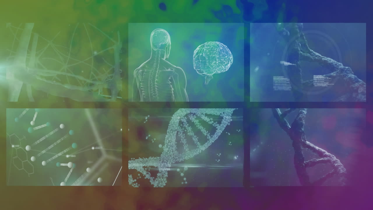Scientific animations of DNA, brain, and neural connections over colorful background