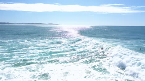 4k aerial shot of a cool surfer carving a blue crystal clear wave in australia on a sunny day. athletic man surfing a perfect ocean wave.