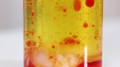 colorful blobs rising and falling in liquid