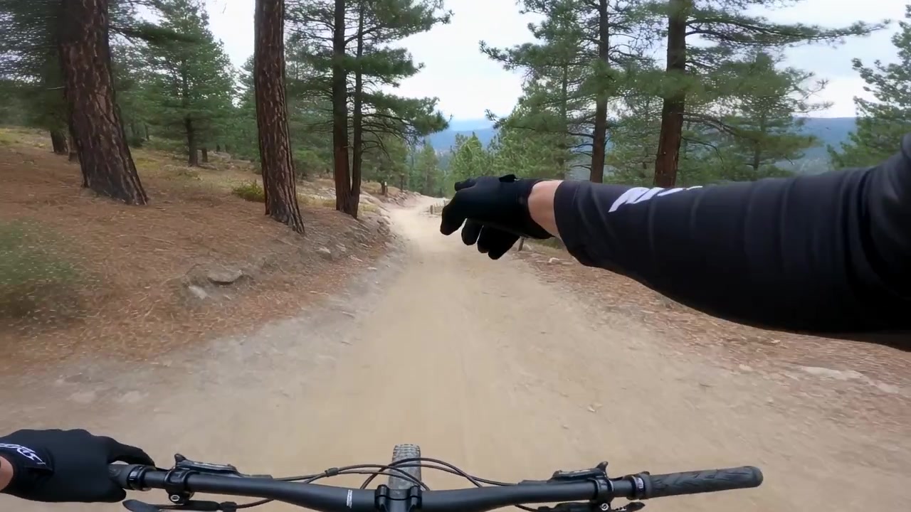 Ciclista in discesa con maglia nera, in bicicletta su uno stretto sentiero tra i pini, che indica la linea con la mano guantata.