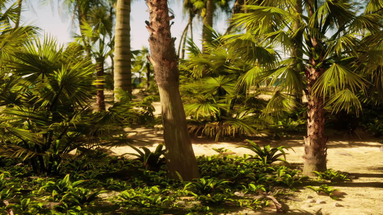 тропический пляж с пальмами