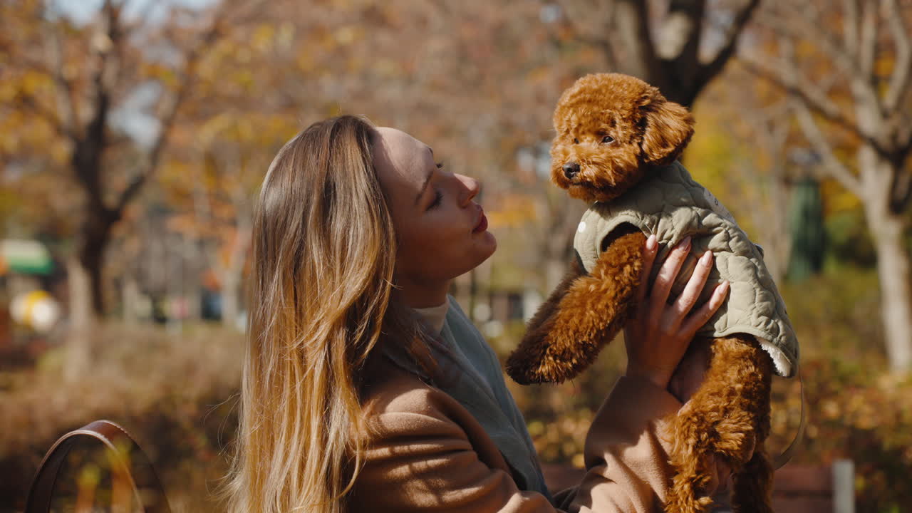 Close-up of attractive young woman holding up a small brown dog, trying to kiss pet but cute doggy licks her face with tongue in autumn park - slow motion