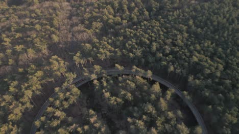 Iconic-walk-or-bike-trail-in-woodland-landscape,-aerial-view