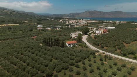 overhead view of cultivated olive fields and scattered village houses near coastal hills in the asprouliani region of crete, greece