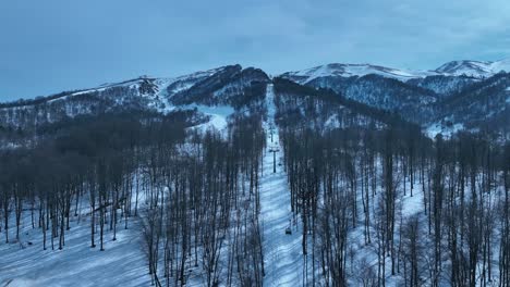 Una-Vista-Impresionante-De-Un-Denso-Bosque-Cubierto-De-Nieve,-Con-Altos-árboles-Que-Se-Alzan-Majestuosamente-Contra-Un-Telón-De-Fondo-De-Montañas-Cubiertas-De-Nieve